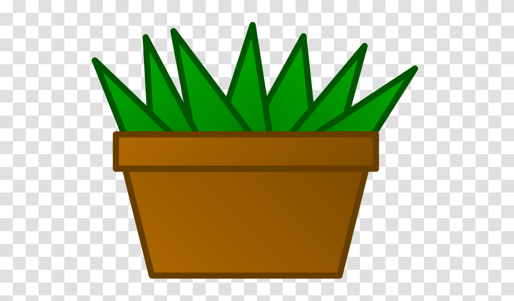 Image, Box, Plant, Pot, Bucket Transparent Png