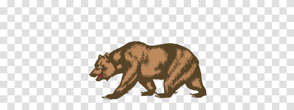 Image, Brown Bear, Wildlife, Mammal, Animal Transparent Png