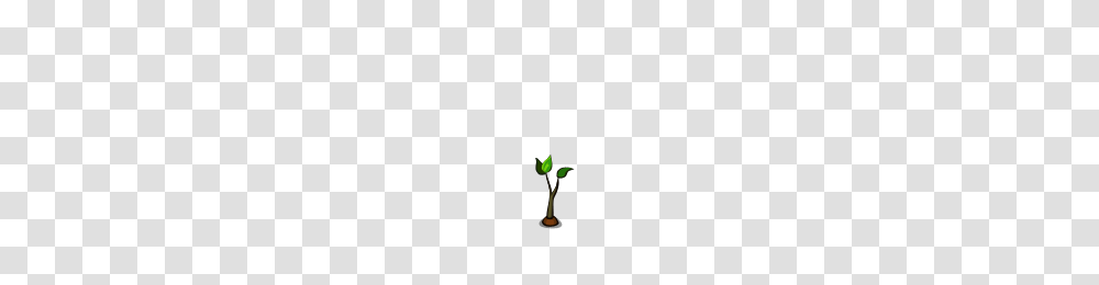 Image, Bud, Sprout, Flower, Plant Transparent Png