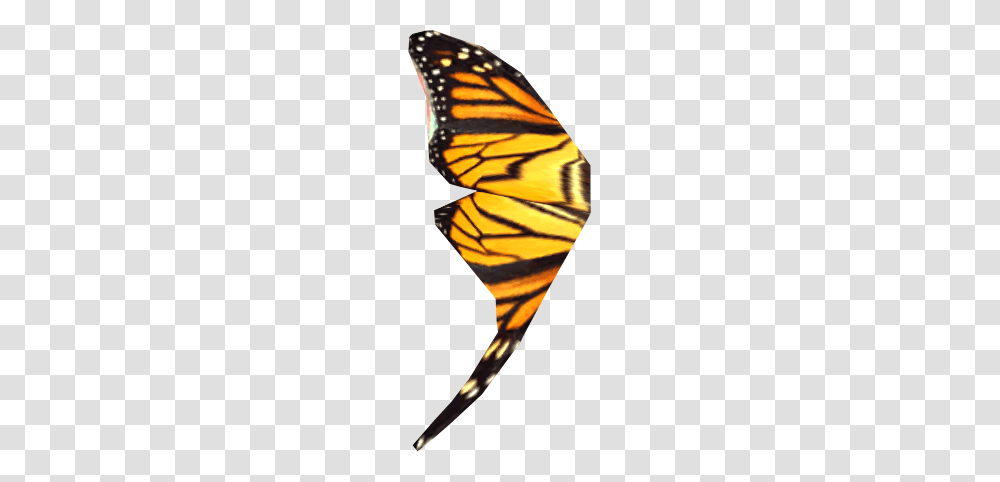 Image, Butterfly, Insect, Invertebrate, Animal Transparent Png