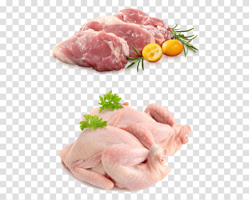 Image Caille Fraiche, Bird, Animal, Poultry, Fowl Transparent Png