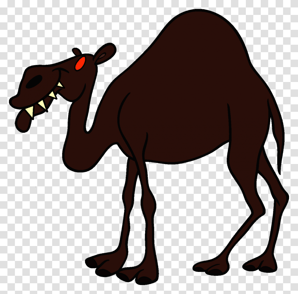 Image, Camel, Mammal, Animal, Horse Transparent Png