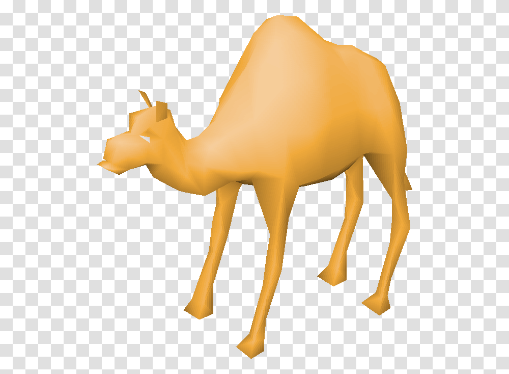 Image, Camel, Mammal, Animal Transparent Png