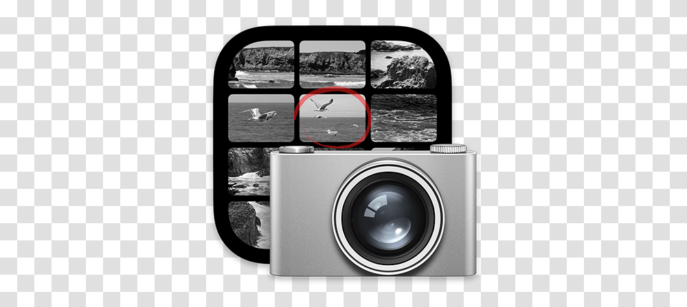 Image Capture User Guide For Mac Apple Support Big Sur Image Capture, Camera, Electronics, Bird, Animal Transparent Png
