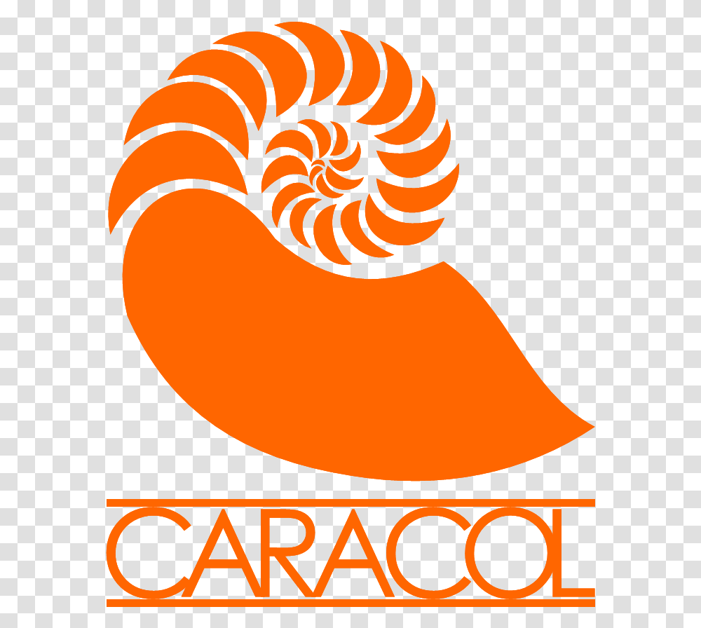 Image Caracol, Spiral, Coil Transparent Png