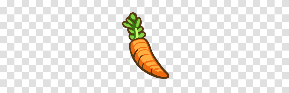 Image, Carrot, Vegetable, Plant, Food Transparent Png