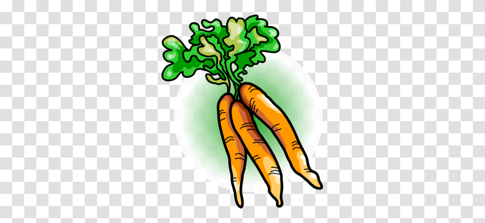 Image Carrots Food Clip Art, Plant, Vegetable, Root Transparent Png