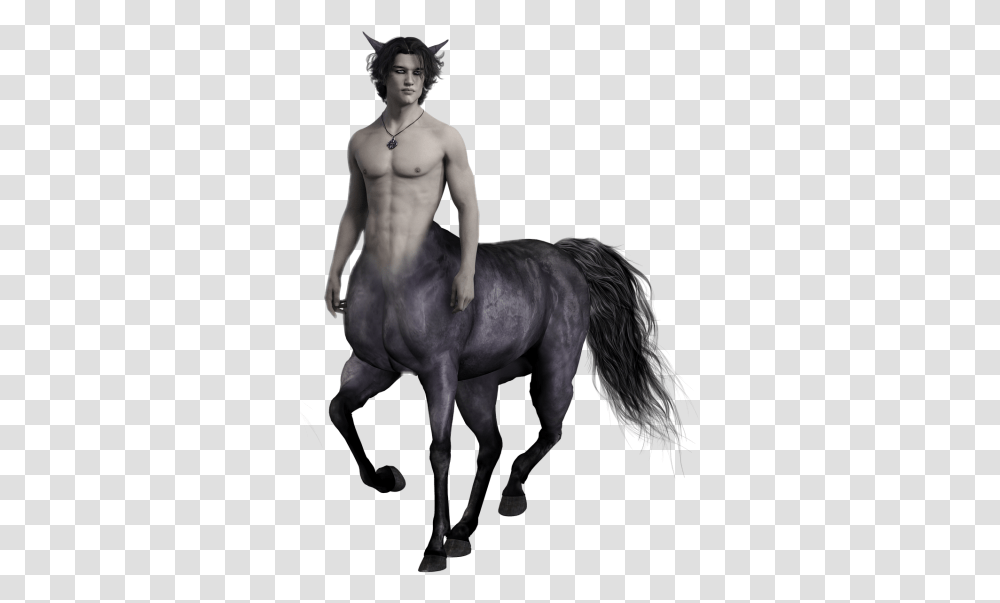 Image Centaur Dlpng, Horse, Mammal, Animal, Person Transparent Png