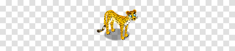 Image, Cheetah, Wildlife, Mammal, Animal Transparent Png