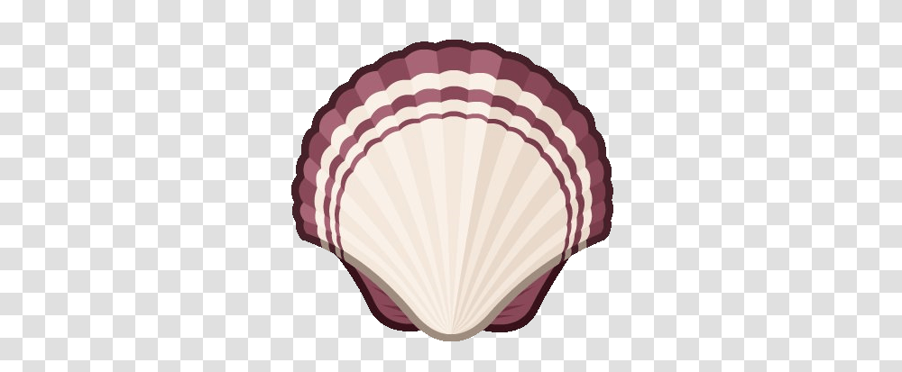 Image, Clam, Seashell, Invertebrate, Sea Life Transparent Png