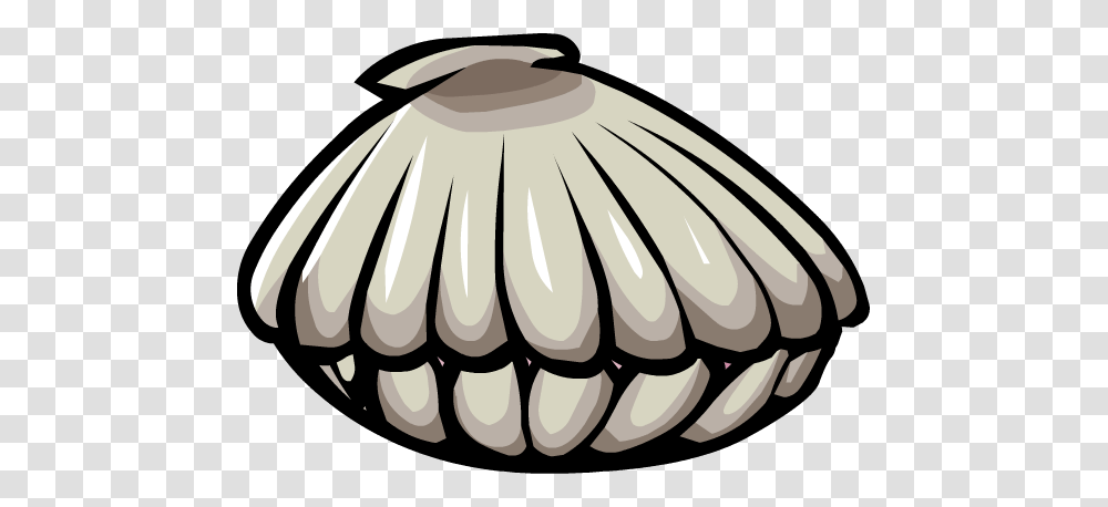 Image, Clam, Seashell, Invertebrate, Sea Life Transparent Png