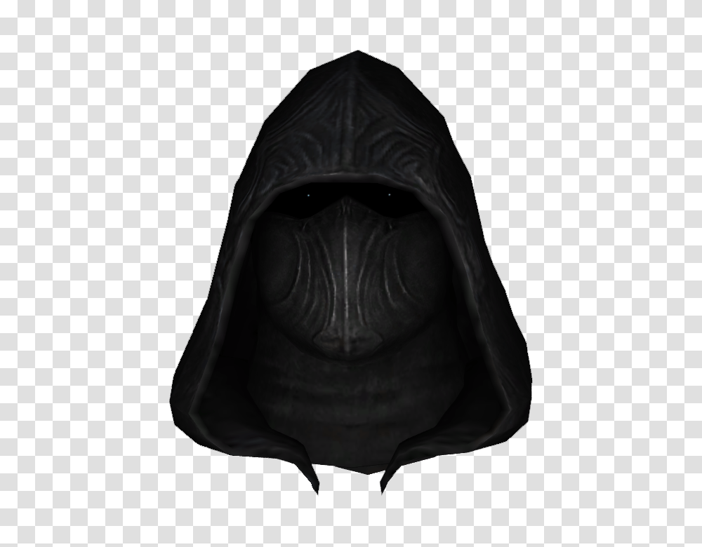 Image, Apparel, Hood, Sweatshirt Transparent Png