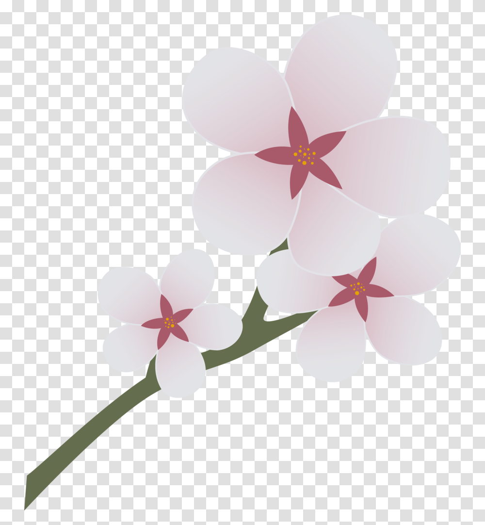 Image Cm Bronies Mlp Cherry Blossom Cutie Mark, Plant, Flower, Petal, Geranium Transparent Png