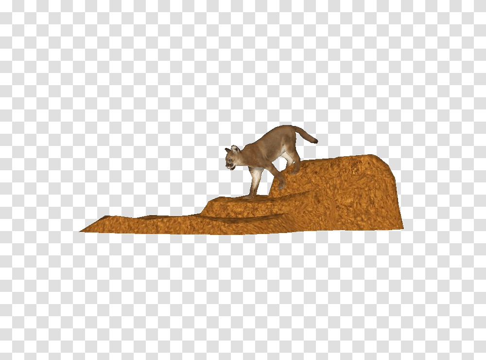 Image, Cougar, Wildlife, Mammal, Animal Transparent Png