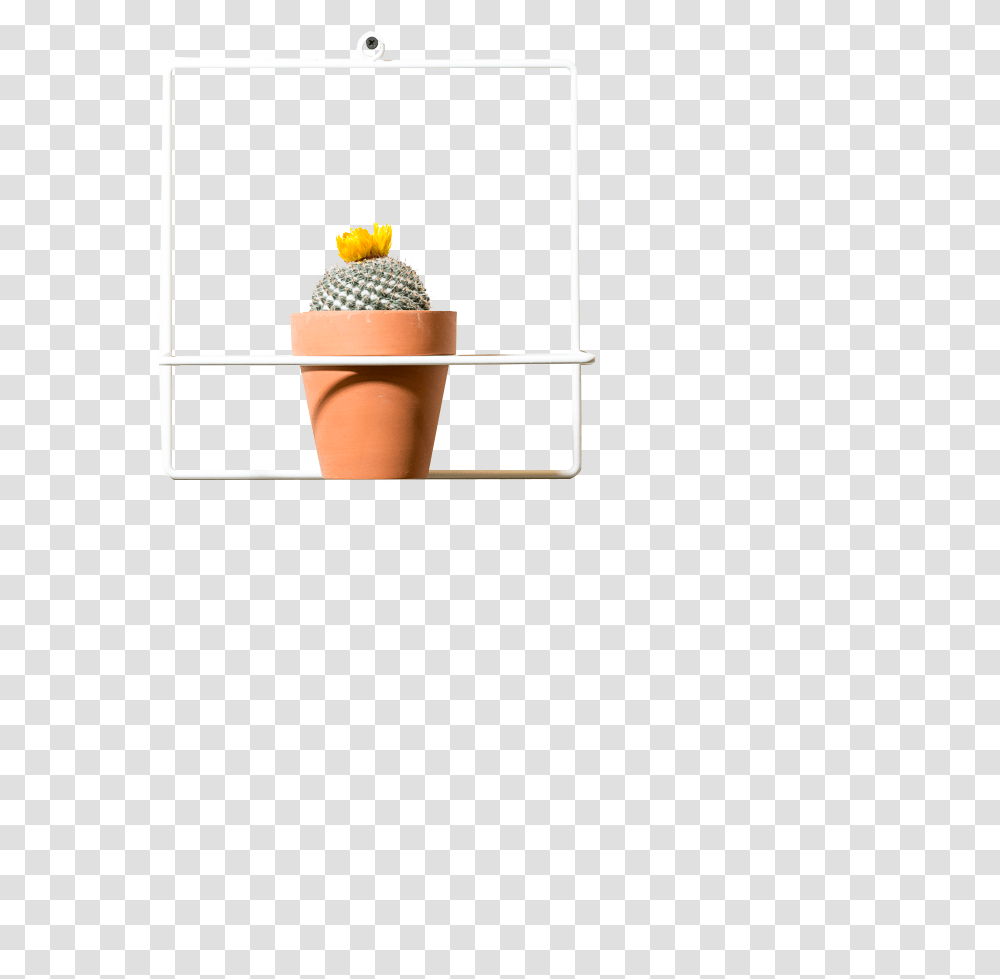 Image, Cream, Dessert, Food, Creme Transparent Png