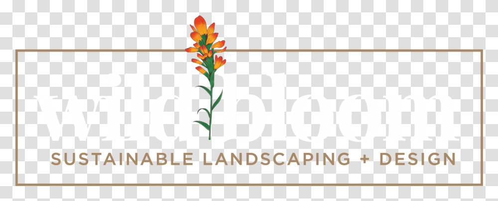 Image Crocosmia, Alphabet, Label, Plant Transparent Png