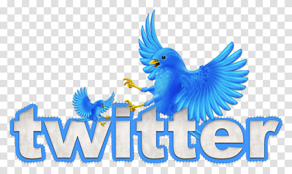 Image Default Animated Twitter Bird, Animal, Word, Chicken Transparent Png