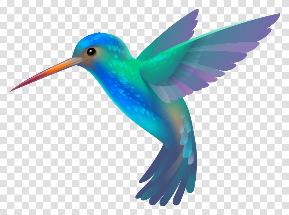 Image Detail For Colorful Hu Hummingbird Clipart, Animal, Bee Eater, Beak Transparent Png