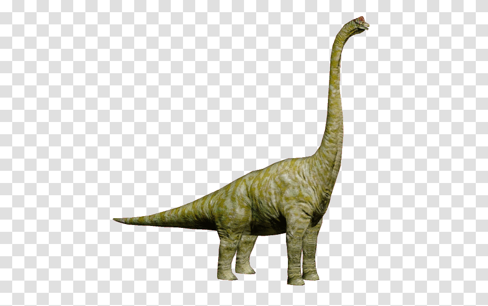 Image, Dinosaur, Reptile, Animal, Antelope Transparent Png