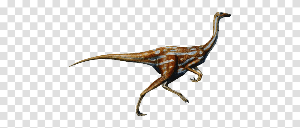 Image, Dinosaur, Reptile, Animal, Antelope Transparent Png