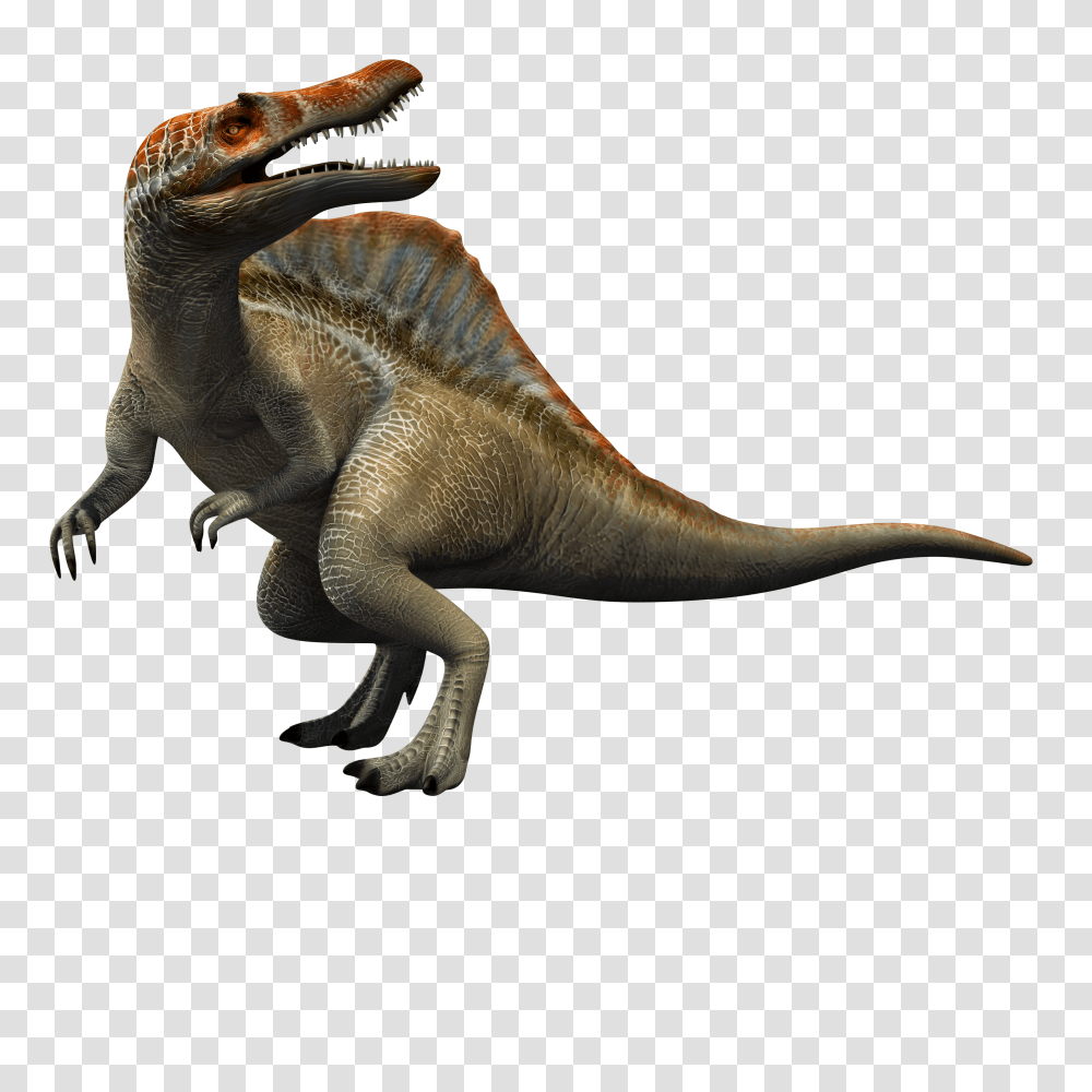 Image, Dinosaur, Reptile, Animal, T-Rex Transparent Png