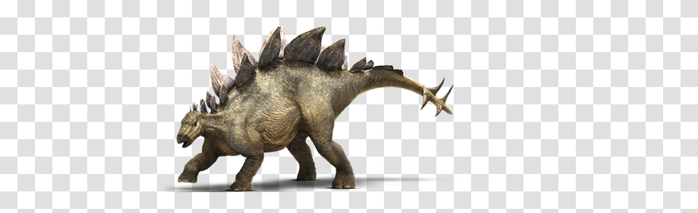 Image, Dinosaur, Reptile, Animal, T-Rex Transparent Png
