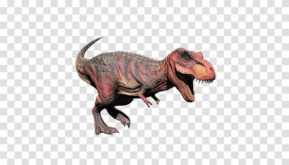 Image, Dinosaur, Reptile, Animal, T-Rex Transparent Png