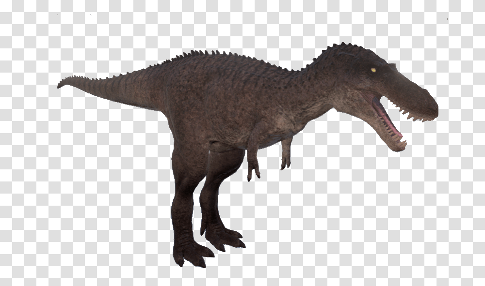 Image, Dinosaur, Reptile, Animal, T-Rex Transparent Png