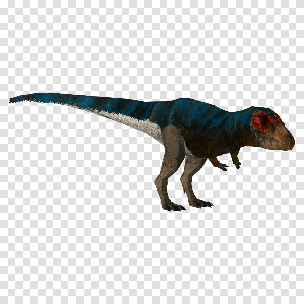 Image, Dinosaur, Reptile, Animal, T-Rex Transparent Png