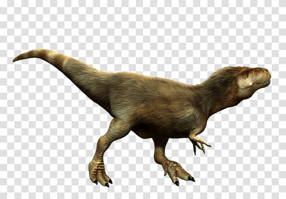 Image, Dinosaur, Reptile, Animal, T-Rex Transparent Png