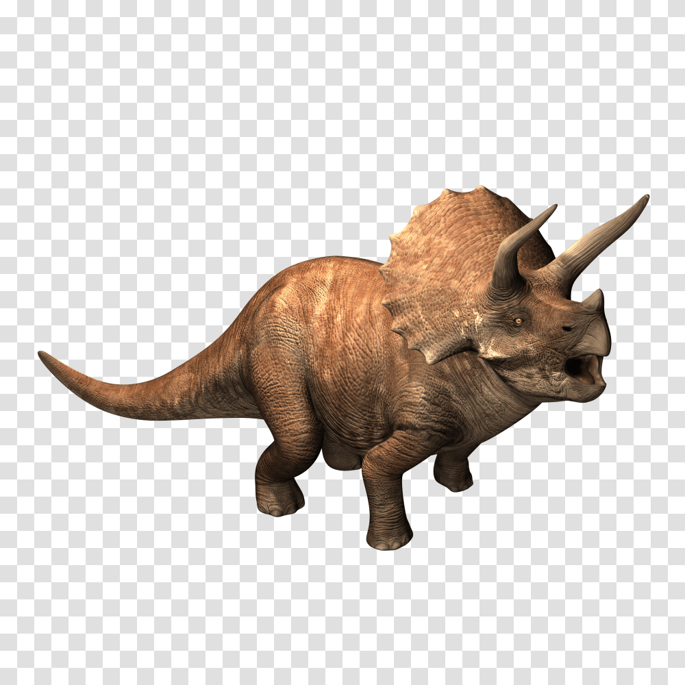 Image, Dinosaur, Reptile, Animal, T-Rex Transparent Png