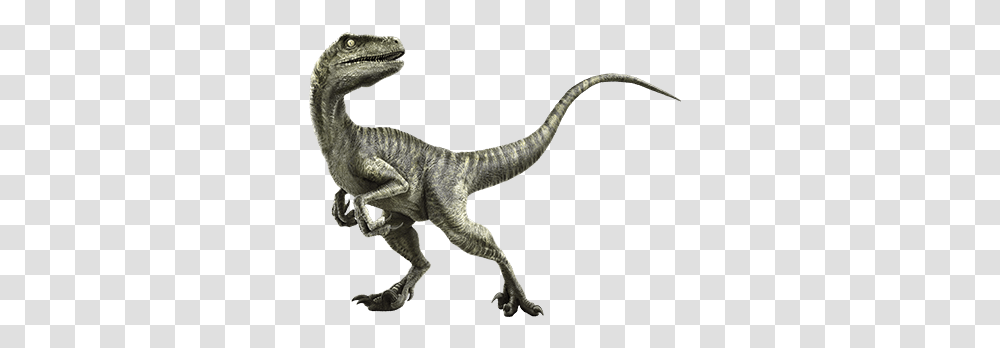 Image, Dinosaur, Reptile, Animal, T-Rex Transparent Png