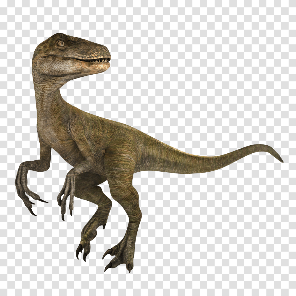 Image, Dinosaur, Reptile, Animal, T-Rex Transparent Png