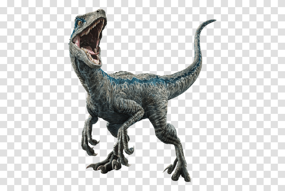 Image, Dinosaur, Reptile, Animal, T-Rex Transparent Png