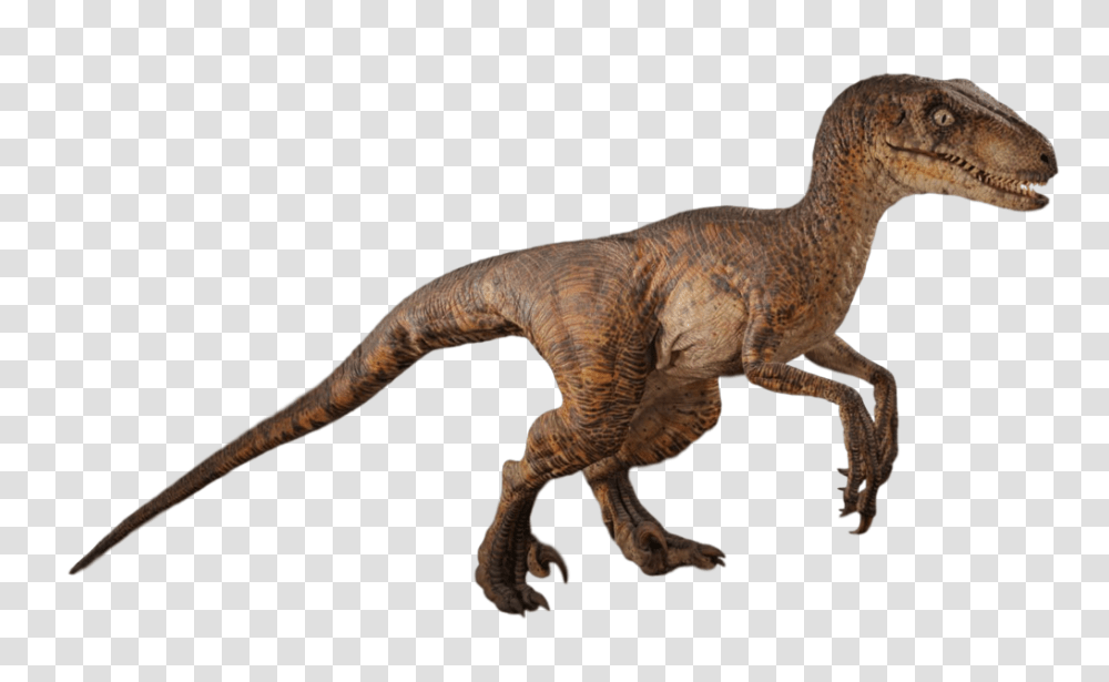 Image, Dinosaur, Reptile, Animal, T-Rex Transparent Png