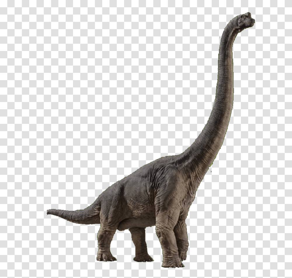 Image, Dinosaur, Reptile, Animal, T-Rex Transparent Png