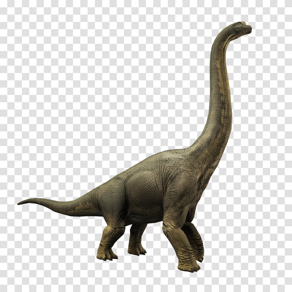 Image, Dinosaur, Reptile, Animal, T-Rex Transparent Png