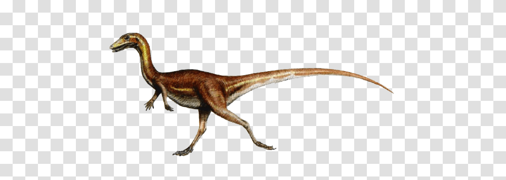 Image, Dinosaur, Reptile, Animal, T-Rex Transparent Png