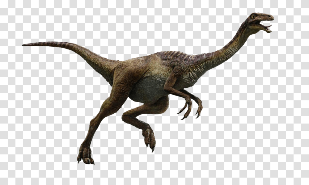 Image, Dinosaur, Reptile, Animal, T-Rex Transparent Png