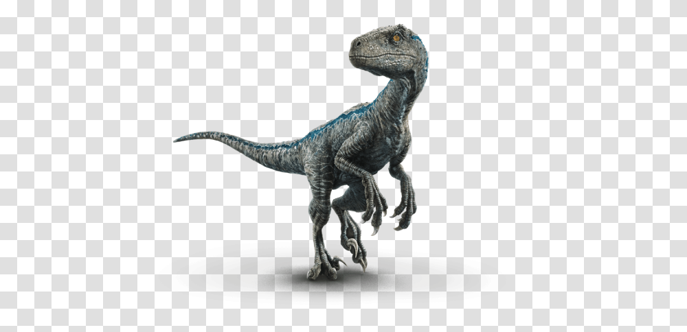 Image, Dinosaur, Reptile, Animal, T-Rex Transparent Png