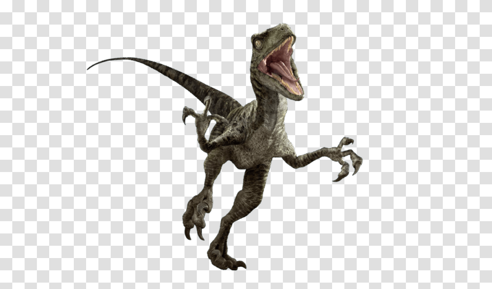 Image, Dinosaur, Reptile, Animal, T-Rex Transparent Png