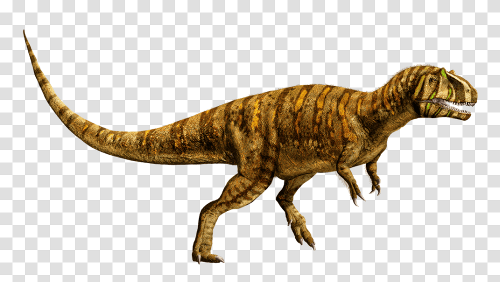 Image, Dinosaur, Reptile, Animal, T-Rex Transparent Png