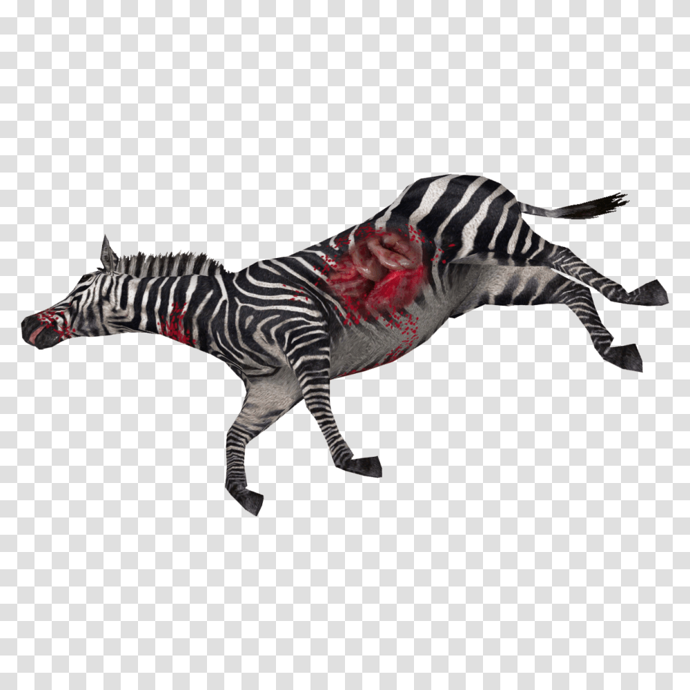 Image, Dinosaur, Reptile, Animal, Zebra Transparent Png