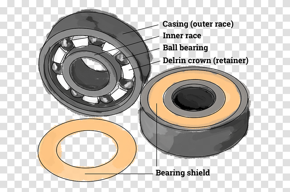 Image Displays Parts Of A Skateboard Bearing Consisting Opportunities For Learning, Spoke, Machine, Wheel, Rotor Transparent Png