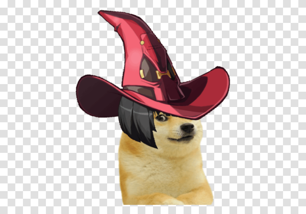 Image Dog Catches Something, Apparel, Cowboy Hat, Person Transparent Png