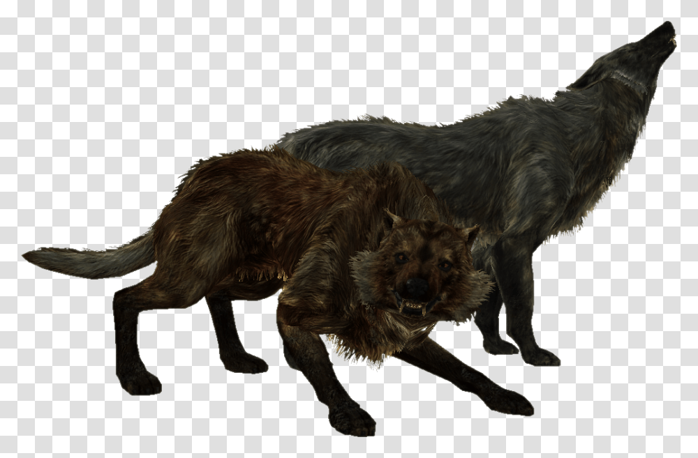 Image, Dog, Pet, Canine, Animal Transparent Png