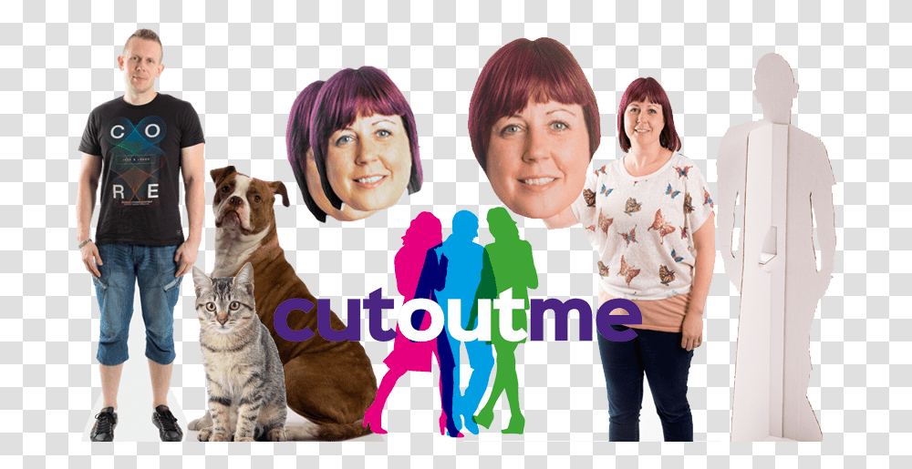 Image Domestic Short Haired Cat, Person, Pet, Mammal Transparent Png