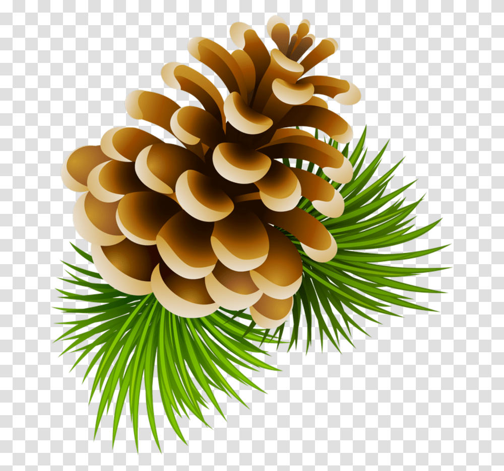 Image Download Clipart Pinecone Cartoon Pine Cone, Tree, Plant, Conifer, Larch Transparent Png