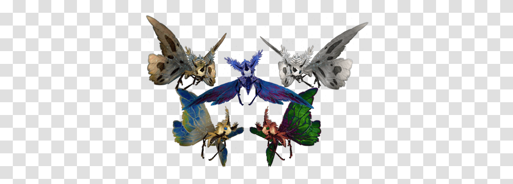 Image, Dragon, Bird, Animal, Kite Transparent Png