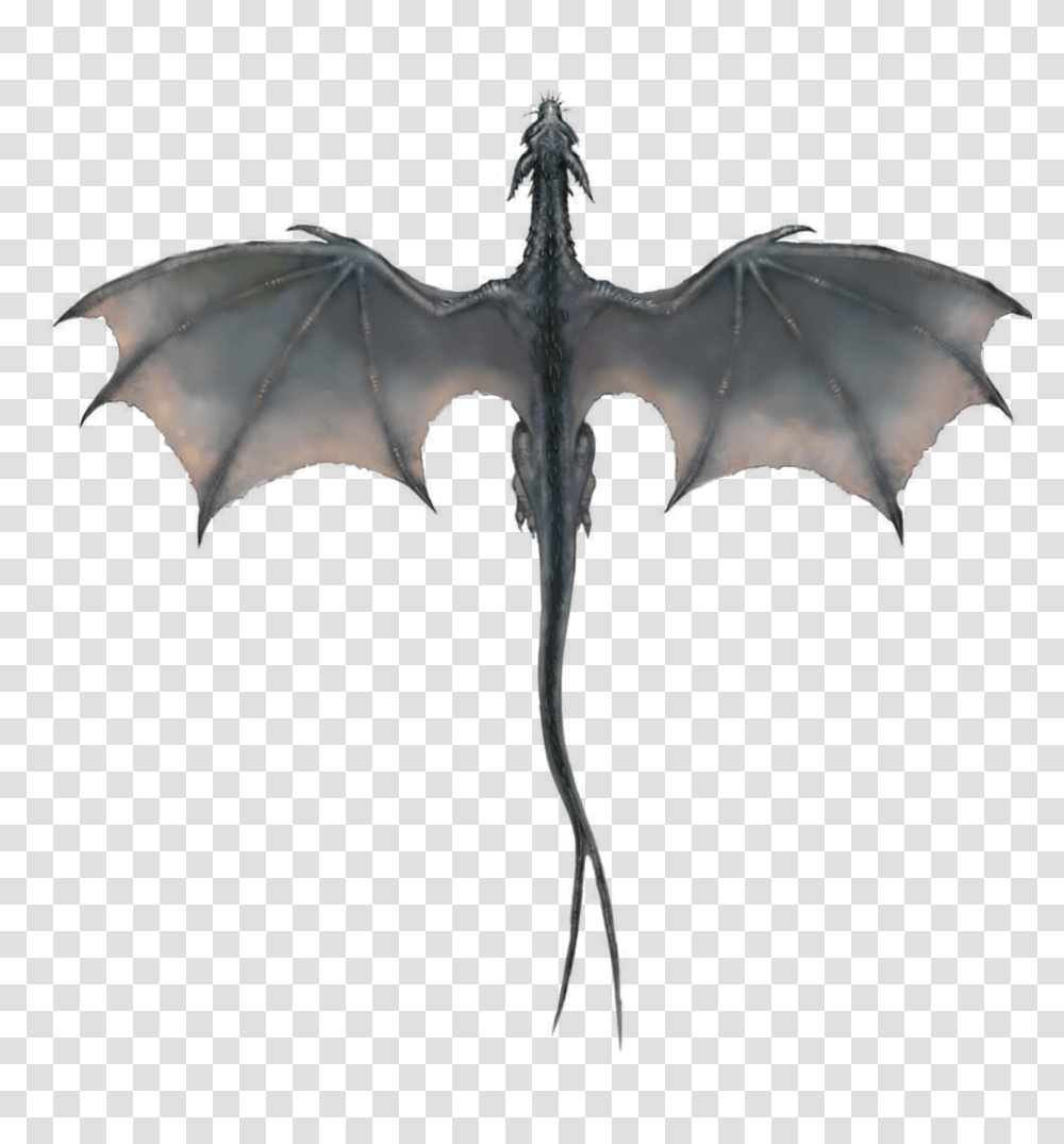 Image, Dragon, Lamp, Tent Transparent Png